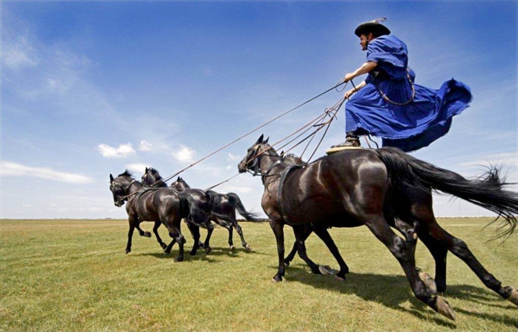 Puszta horse show, Hungary