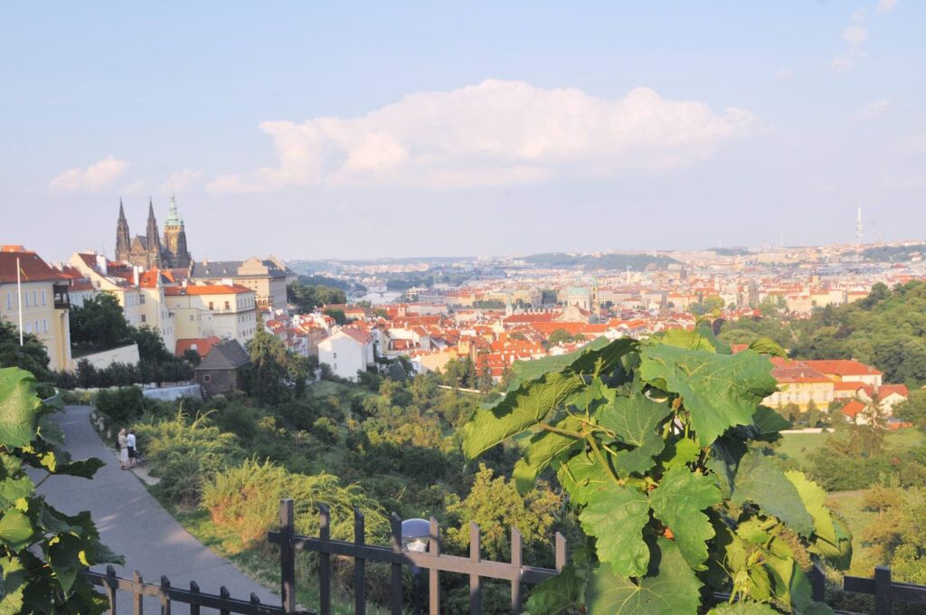 Prague Castle from Strahov gardens