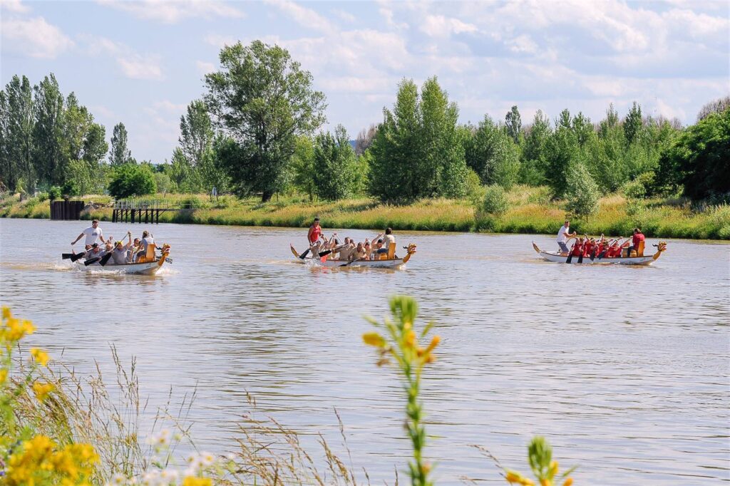 Dragon boating competition, Czech Republic