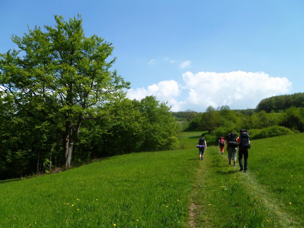 Hiking trips in the Czech Republic - daytrips or longer