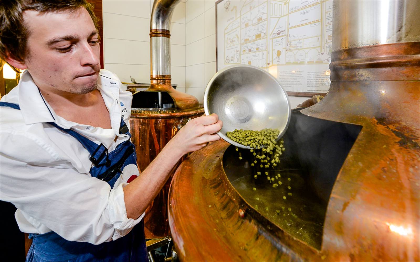 mini brewery excursion, Czech Republic